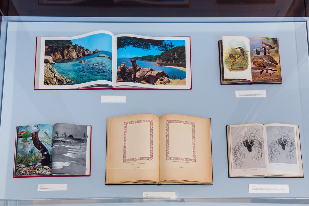 l THE SEINE, THE OLDEST PARIS 

Haris Epaminonda and Daniel Gustav Cramer, The Infinite Library, 2007–ongoing
Reassembled and bound found books
Courtesy of the artists

The Infinite Library is an ongoing collaboration between Haris Epaminonda and Daniel Gustav Cramer. To create each volume in the series, the artists crop and reorder pages from existing books. In doing so, they disrupt the visual and semantic flow of the original texts: images and ideas that were once separate are brought together, and the intentions of the original authors are diverted or effaced. In Benjamin’s compilation of quotations for Convolute l, the Seine emerges as the connective tissue that binds the city of Paris together. Amid the city’s dense accretion of built structures, the river represents the enduring, elemental force of nature; a vein of unknowability, with powerful currents and murky, mysterious depths; a link to the city’s ancient past.