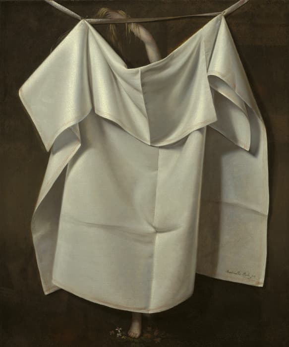 A large, crisply folded white sheet hangs on a line, partially obscuring a nude figure behind it with only an arm, head, and foot visible.