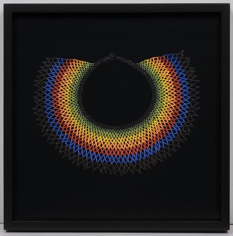 Elinor Carucci, Pride Collar (2016), 2020. Archival pigment print. Purchase: Horace W. Goldsmith Foundation Fund