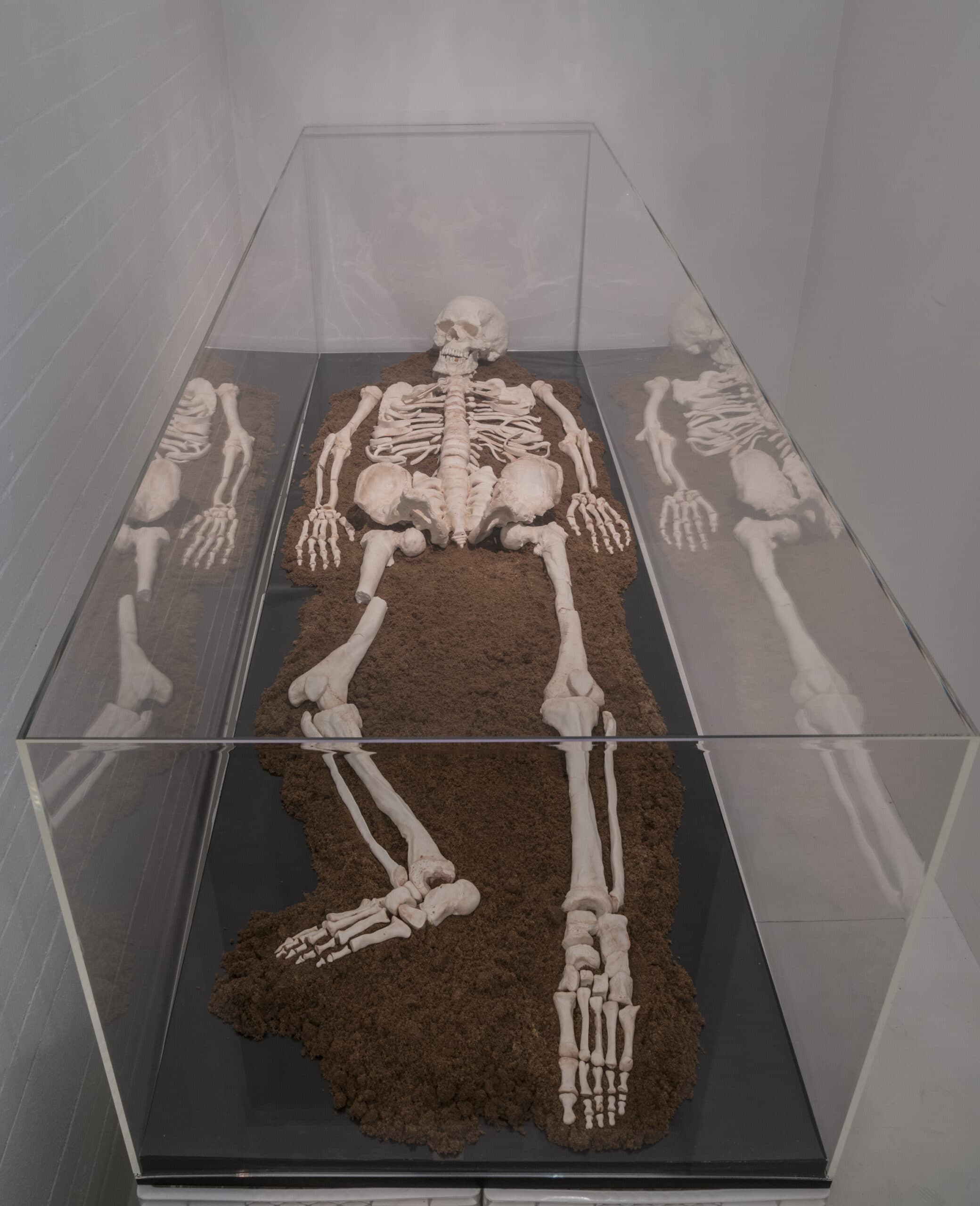 Final Weeks to Experience Take Me (I’m Yours) at the Jewish Museum