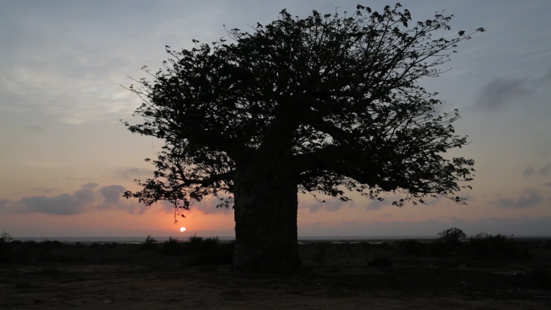 The Jewish Museum Announces Summer Lineup for Sights and Sounds: Global Film and Video