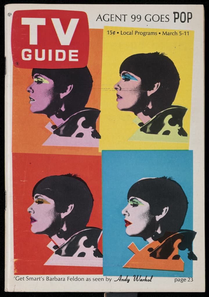 Revolution of the Eye: Modern Art and the Birth of American Television